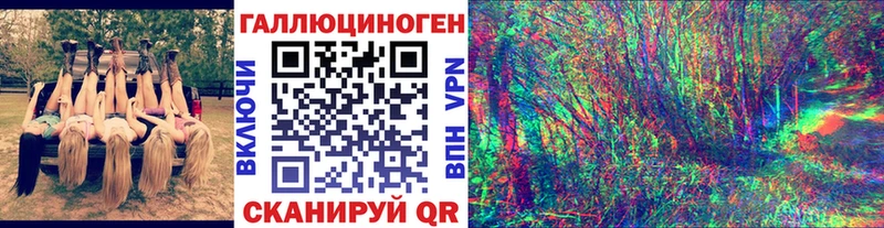 Галлюциногенные грибы Psilocybine cubensis  Ступино 