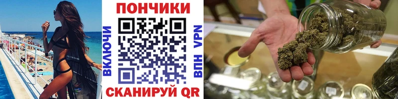 как найти наркотики  Ступино  Конопля сатива 